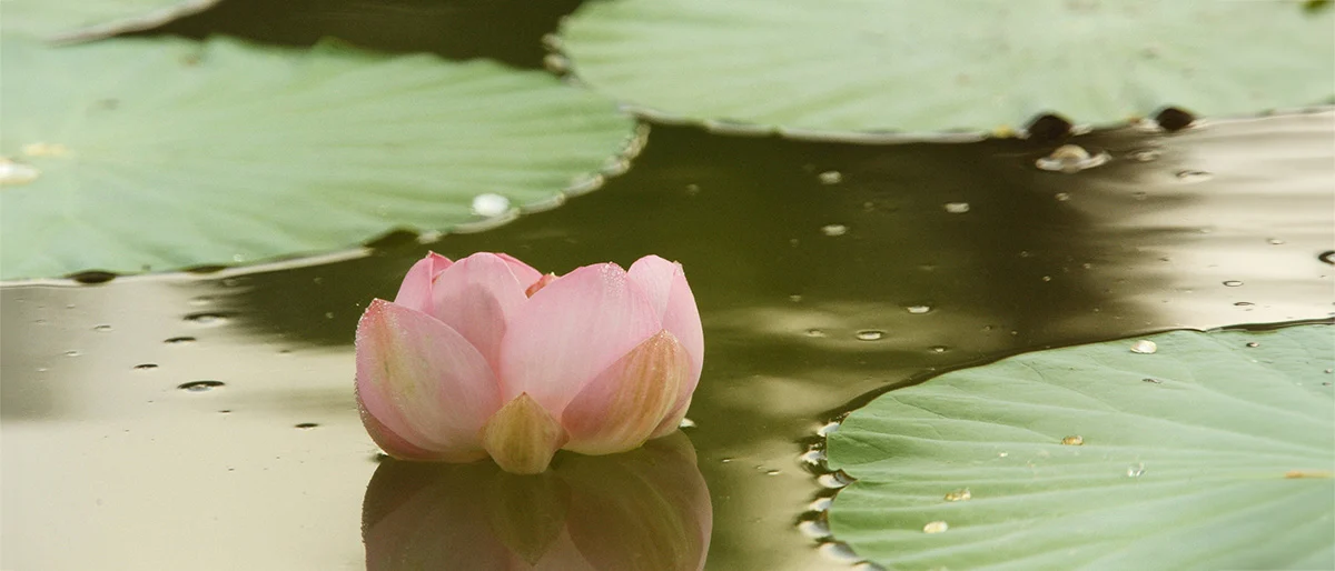 The Data Collection Phase: Why You Need Every Detail After His Affair (And When to Stop)