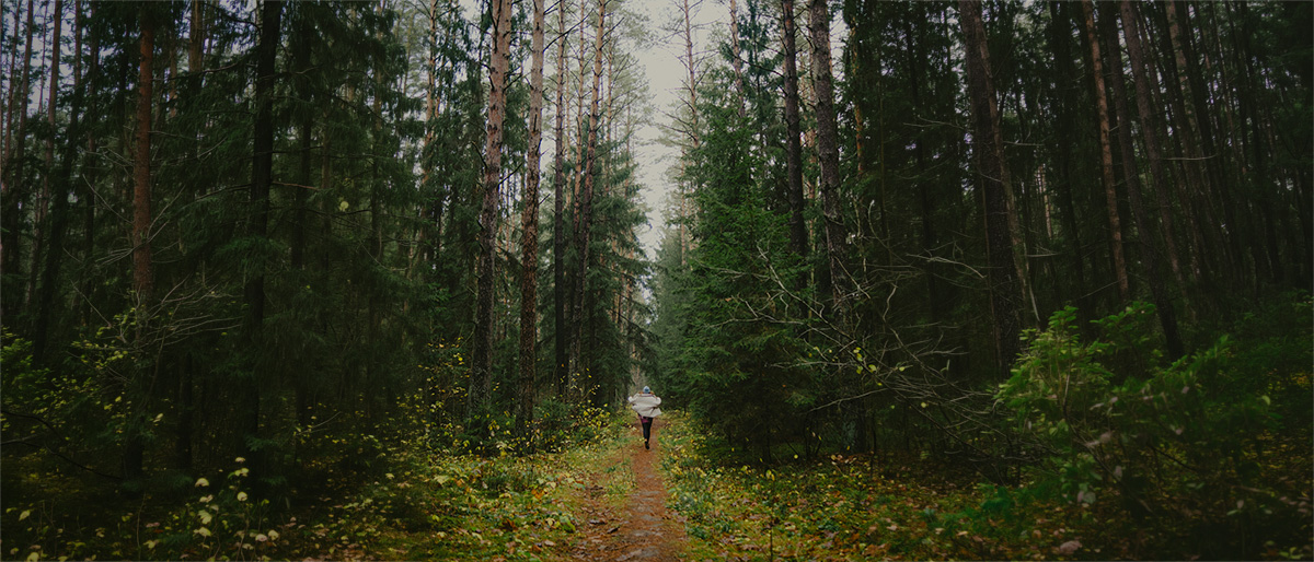 Trickle Truth: How to Recognize It and Protect Your Mental Health